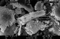 Chrysotilasbest bei der Untersuchung einer Materialprobe (Bodenbelag, Flexplatten)